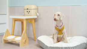 gyeongsan stage-ipple pet pension